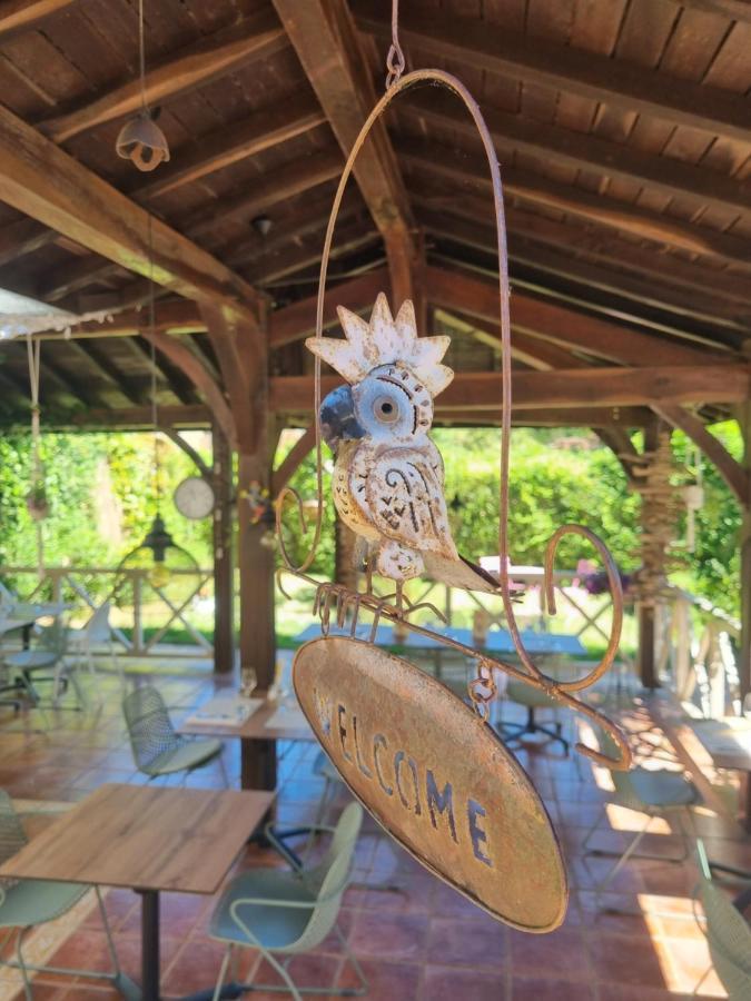 Hotel Restaurant Du Commerce Estang Ngoại thất bức ảnh