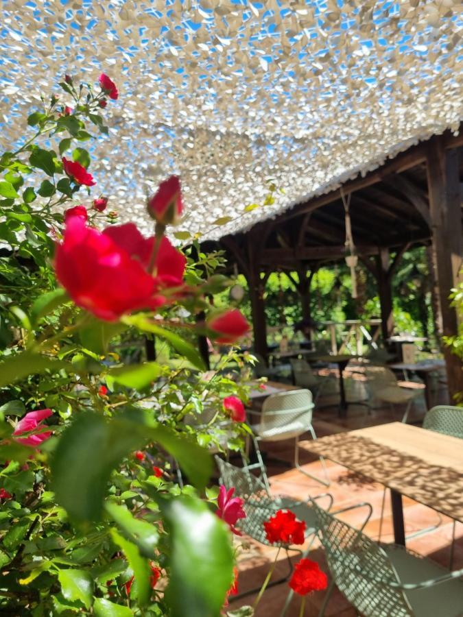 Hotel Restaurant Du Commerce Estang Ngoại thất bức ảnh